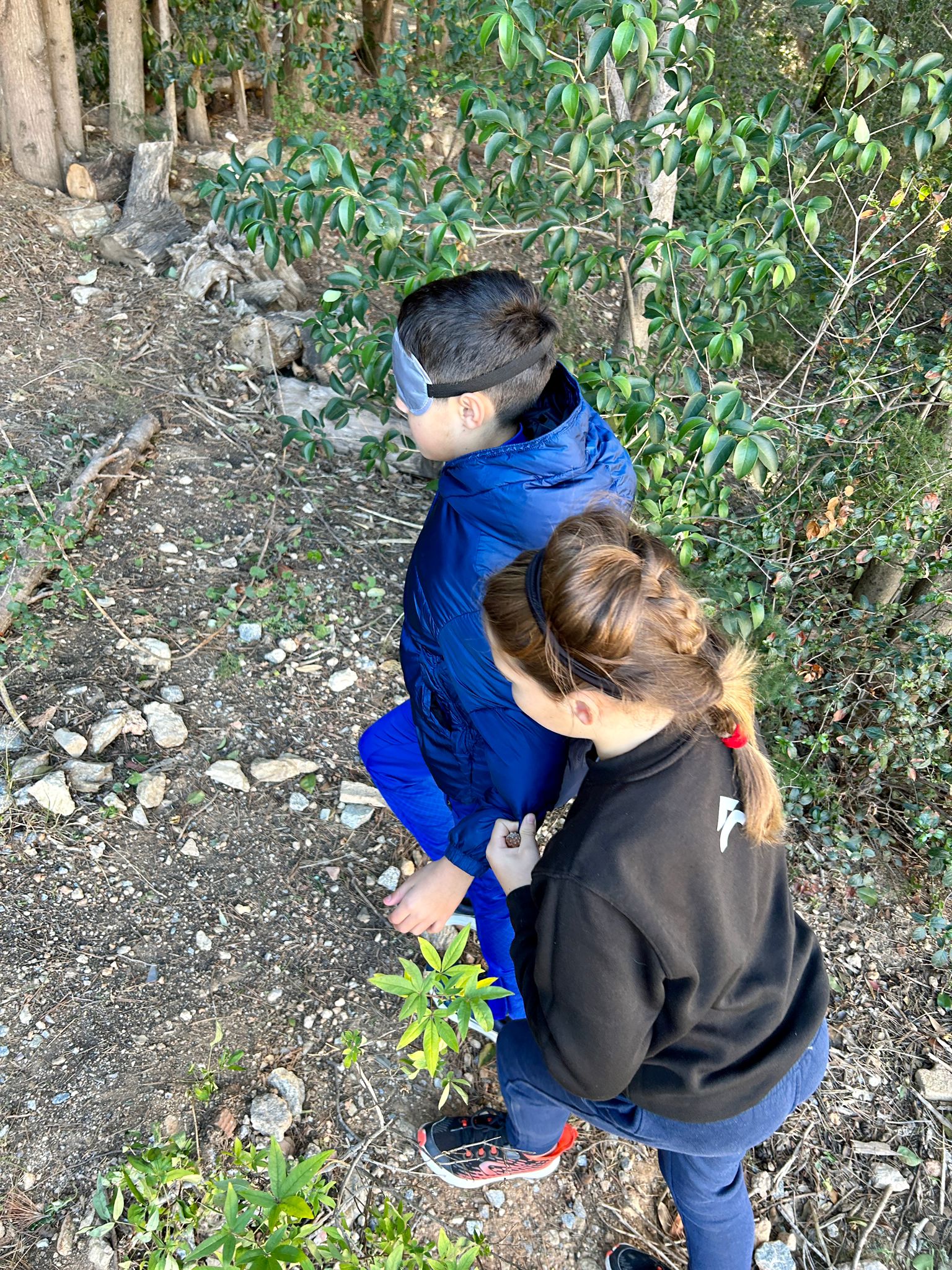 Audioguies inclusives sobre biodiversitat