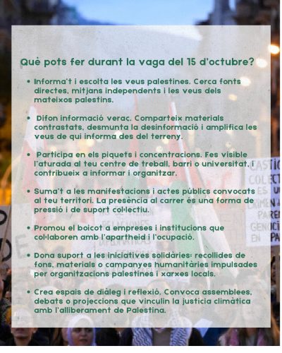 VAGA PALESTINA 3 VAGA PALESTINA 3